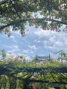 横浜イングリッシュガーデンに投稿された画像（2024/5/27）