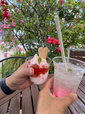 横浜イングリッシュガーデンに投稿された画像（2024/5/27）