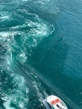 徳島県立 渦の道に投稿された画像（2024/5/27）