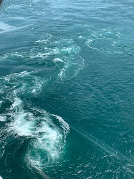 徳島県立 渦の道に投稿された画像（2024/5/27）