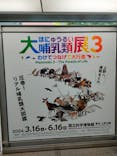 特別展「大哺乳類展３－わけてつなげて大行進」に投稿された画像（2024/5/27）