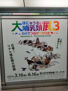 特別展「大哺乳類展３－わけてつなげて大行進」に投稿された画像（2024/5/27）