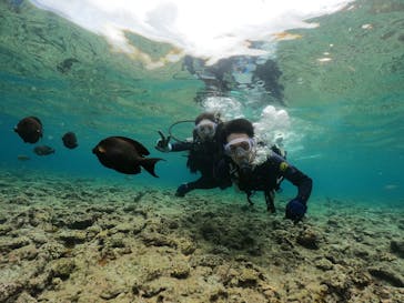 武藤潜水に投稿された画像（2024/5/27）