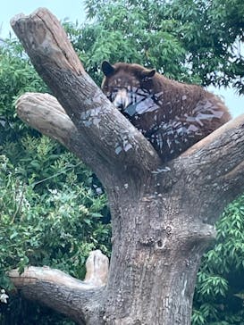 神戸どうぶつ王国に投稿された画像（2024/5/27）