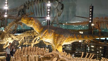 福井県立恐竜博物館に投稿された画像（2024/5/27）