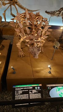 福井県立恐竜博物館に投稿された画像（2024/5/27）