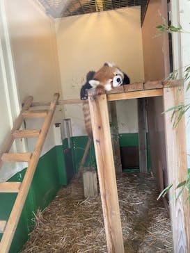 東武動物公園に投稿された画像（2024/5/27）