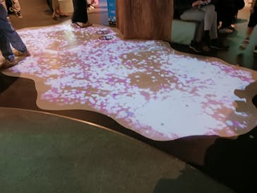 リトルプラネット ダイバーシティ東京 プラザに投稿された画像（2024/5/27）