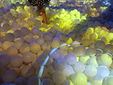 リトルプラネット ダイバーシティ東京 プラザに投稿された画像（2024/5/27）