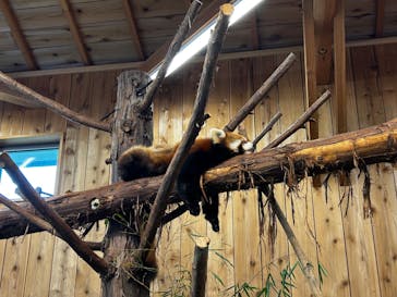 伊豆シャボテン動物公園に投稿された画像（2024/5/27）