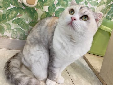 Moff animal world BIGHOPガーデンモール印西店に投稿された画像（2024/5/27）