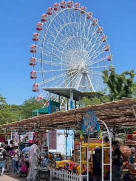 日本モンキーパークに投稿された画像（2024/5/27）