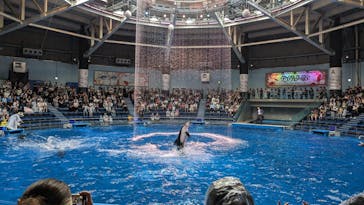 マクセル アクアパーク品川に投稿された画像（2024/5/27）