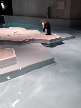 AOAO SAPPOROに投稿された画像（2024/5/27）