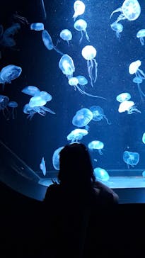 AOAO SAPPOROに投稿された画像（2024/5/27）