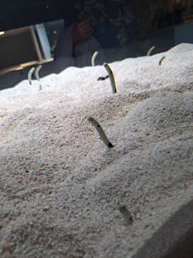 AOAO SAPPOROに投稿された画像（2024/5/27）