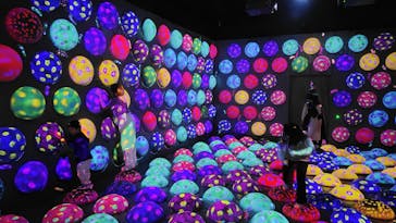 チームラボフォレスト 福岡 - SBI証券に投稿された画像（2024/5/27）