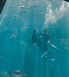 下田海中水族館に投稿された画像（2024/5/27）