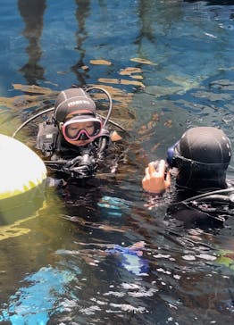 下田海中水族館に投稿された画像（2024/5/27）