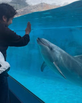 下田海中水族館に投稿された画像（2024/5/27）