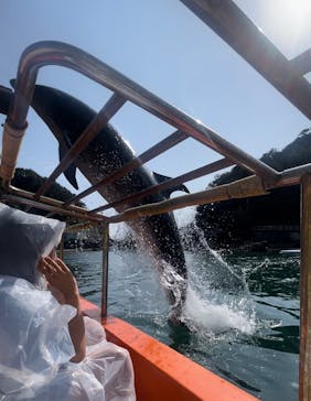 下田海中水族館に投稿された画像（2024/5/27）