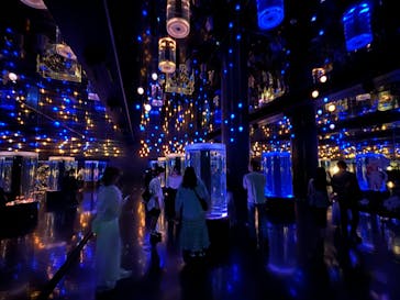 マクセル アクアパーク品川に投稿された画像（2024/5/26）