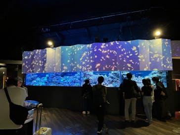 マクセル アクアパーク品川に投稿された画像（2024/5/26）