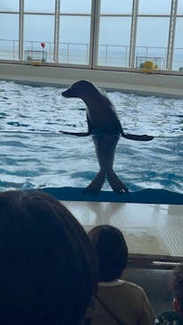 アクアワールド茨城県大洗水族館に投稿された画像（2024/5/27）