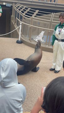 アクアワールド茨城県大洗水族館に投稿された画像（2024/5/27）