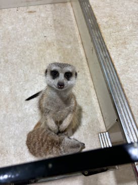 アニタッチアクアシティお台場に投稿された画像（2024/5/27）