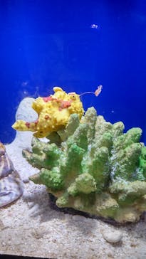 サンシャイン水族館に投稿された画像（2024/5/27）