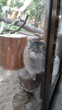 那須どうぶつ王国に投稿された画像（2024/5/27）