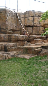 那須どうぶつ王国に投稿された画像（2024/5/27）