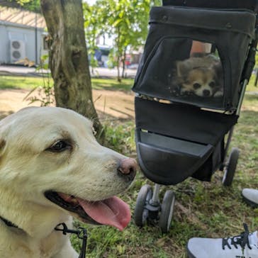 浜名湖花博2024に投稿された画像（2024/5/27）