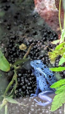 カワスイ 川崎⽔族館に投稿された画像（2024/5/27）