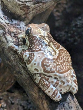 カワスイ 川崎⽔族館に投稿された画像（2024/5/27）