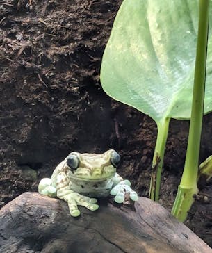 カワスイ 川崎⽔族館に投稿された画像（2024/5/27）
