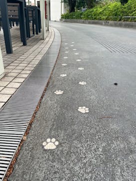 西武園ゆうえんちに投稿された画像（2024/5/27）