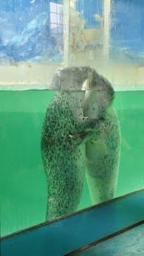 下田海中水族館に投稿された画像（2024/5/27）