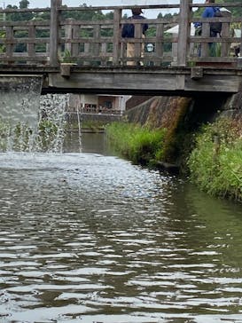 小江戸さわら 舟めぐりに投稿された画像（2024/5/27）
