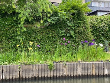 小江戸さわら 舟めぐりに投稿された画像（2024/5/27）