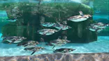 天王寺動物園に投稿された画像（2024/5/27）