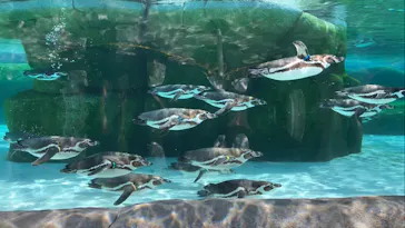 天王寺動物園に投稿された画像（2024/5/27）