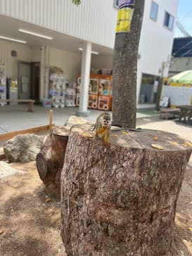 しろとり動物園に投稿された画像（2024/5/27）