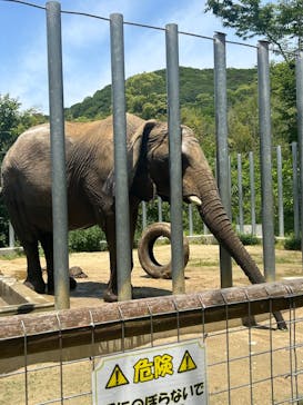 しろとり動物園に投稿された画像（2024/5/27）