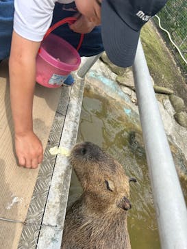 しろとり動物園に投稿された画像（2024/5/27）