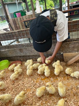 しろとり動物園に投稿された画像（2024/5/27）