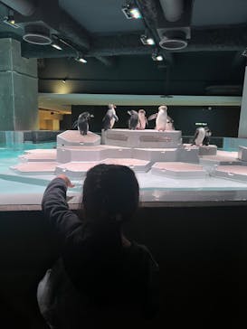 AOAO SAPPOROに投稿された画像（2024/5/27）