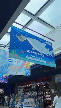 アクアワールド茨城県大洗水族館に投稿された画像（2024/5/27）