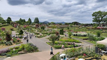 いばらきフラワーパークに投稿された画像（2024/5/27）